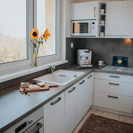 Διαμέρισμα Apartman Tatranska Lomnica Tatranská Lomnica