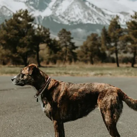 Apartman Tatranska Lomnica Appartement